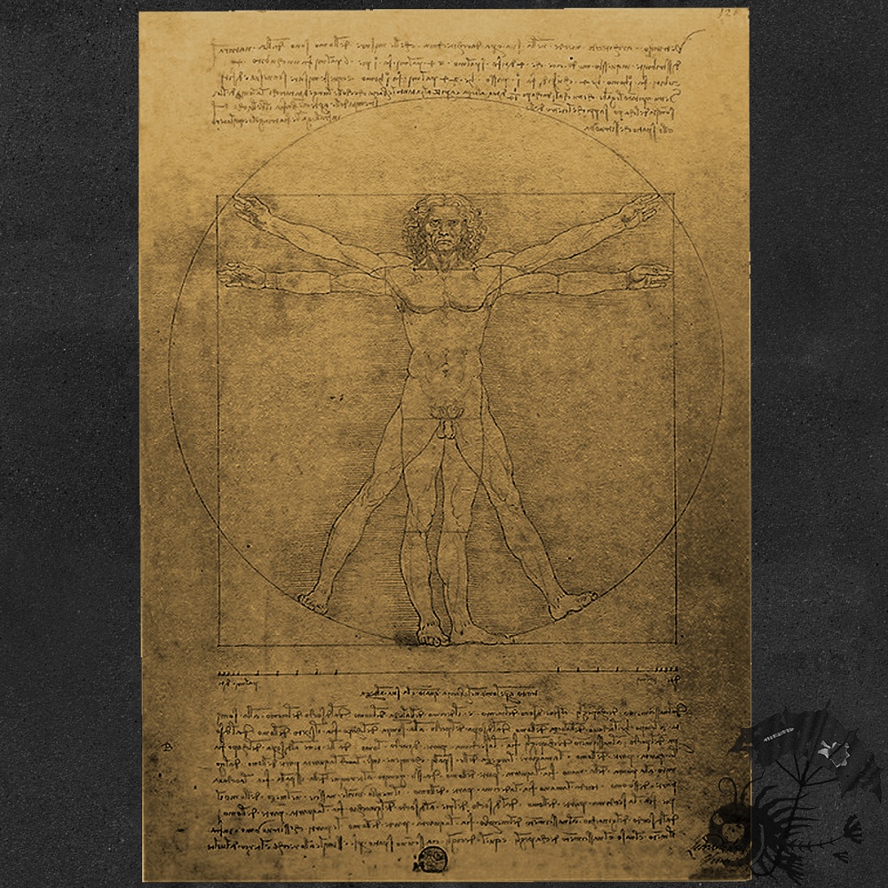 Плакат "Идеальный человек Леонардо да Винчи"